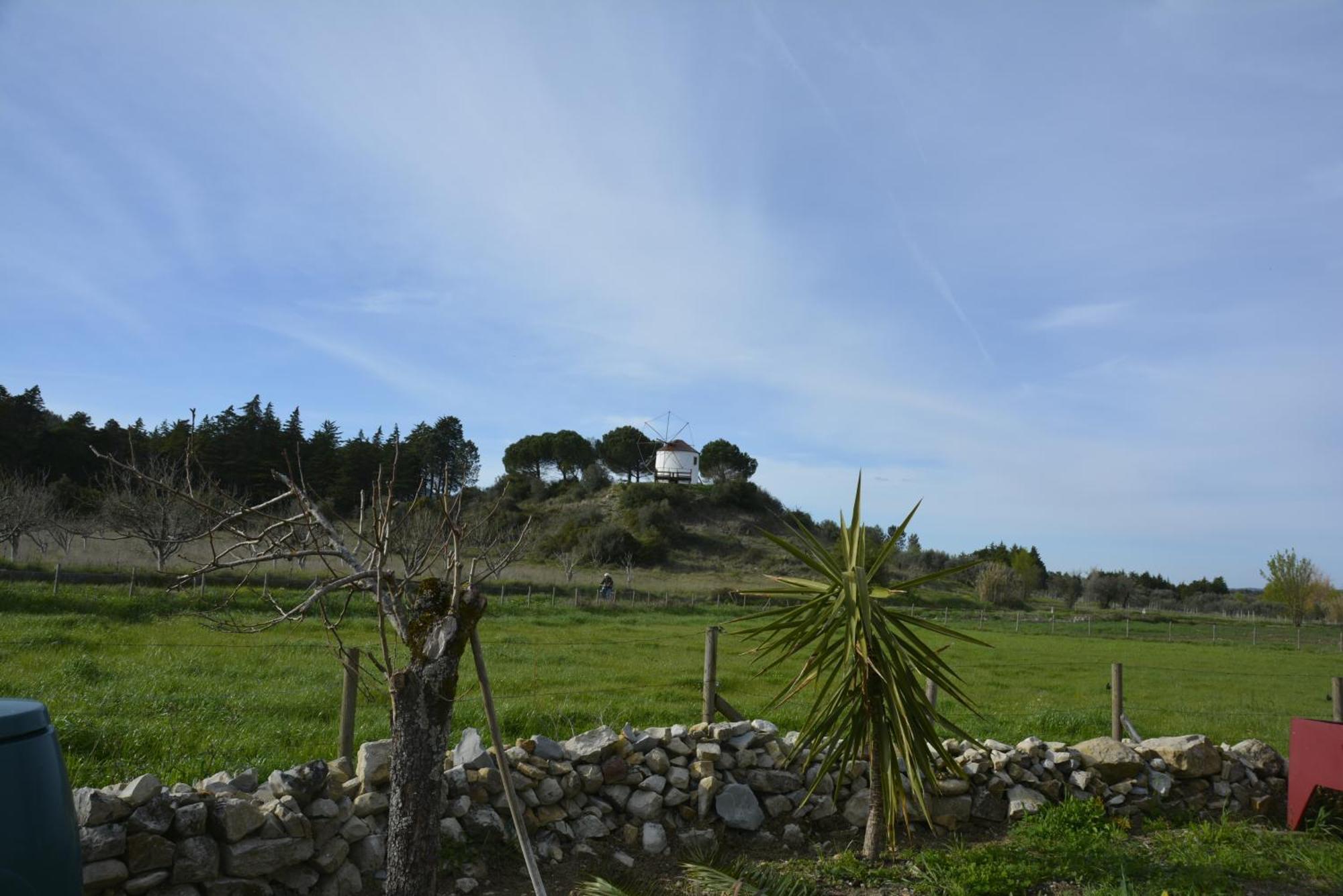 Casa Da Lima - Nestled In Nature On Santiago'S And Fatima'S Path, Close To Coimbra And Rabacal Alvorge 외부 사진
