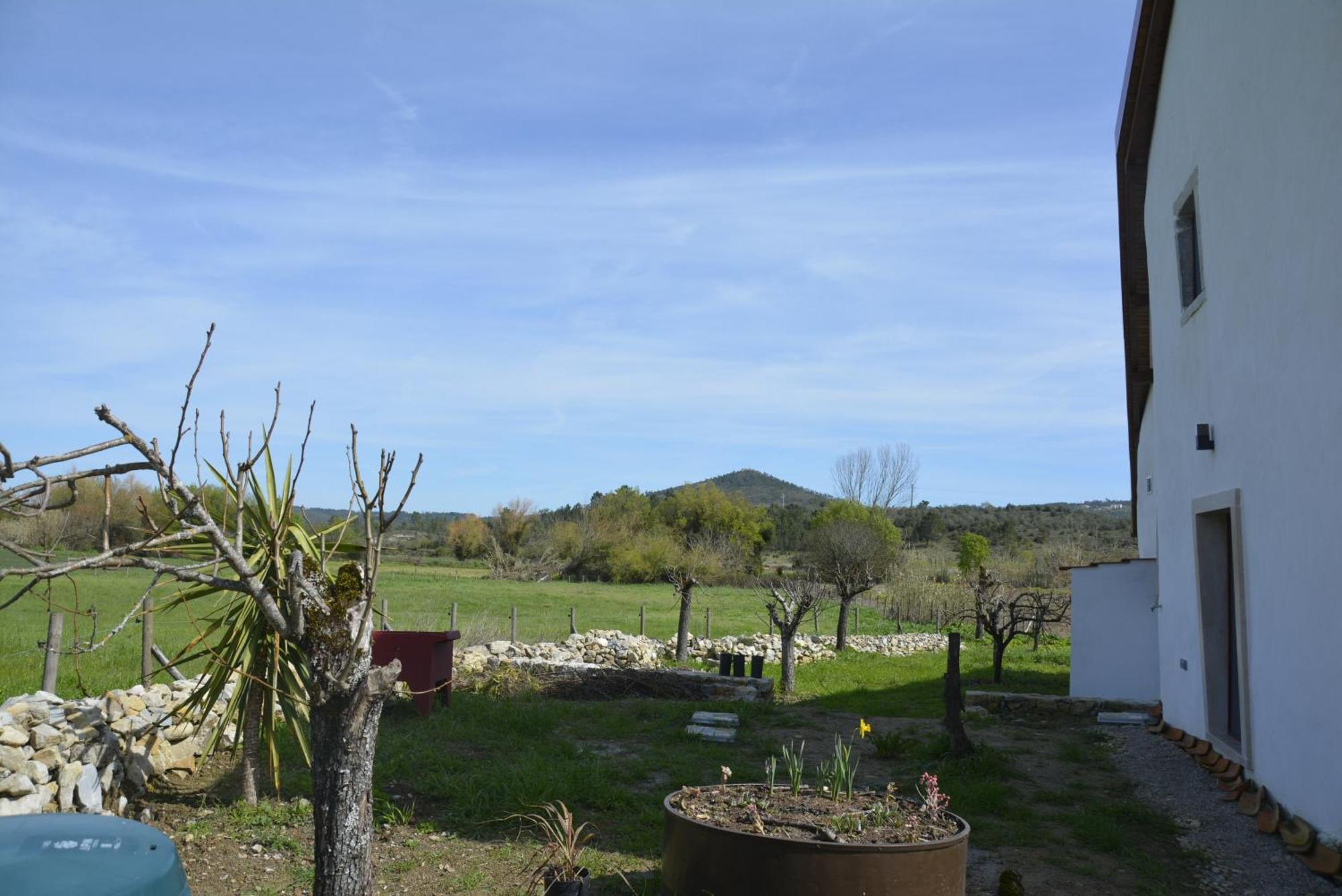 Casa Da Lima - Nestled In Nature On Santiago'S And Fatima'S Path, Close To Coimbra And Rabacal Alvorge 외부 사진