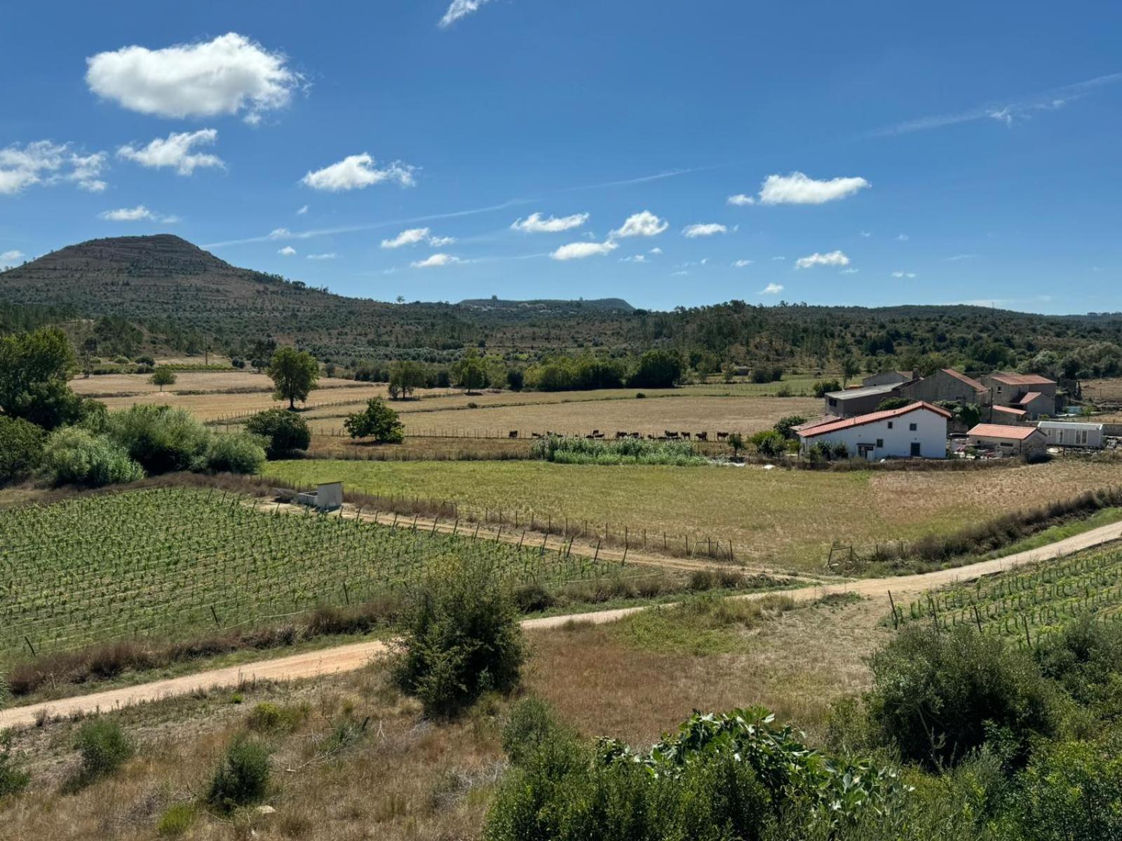 Casa Da Lima - Nestled In Nature On Santiago'S And Fatima'S Path, Close To Coimbra And Rabacal Alvorge 외부 사진