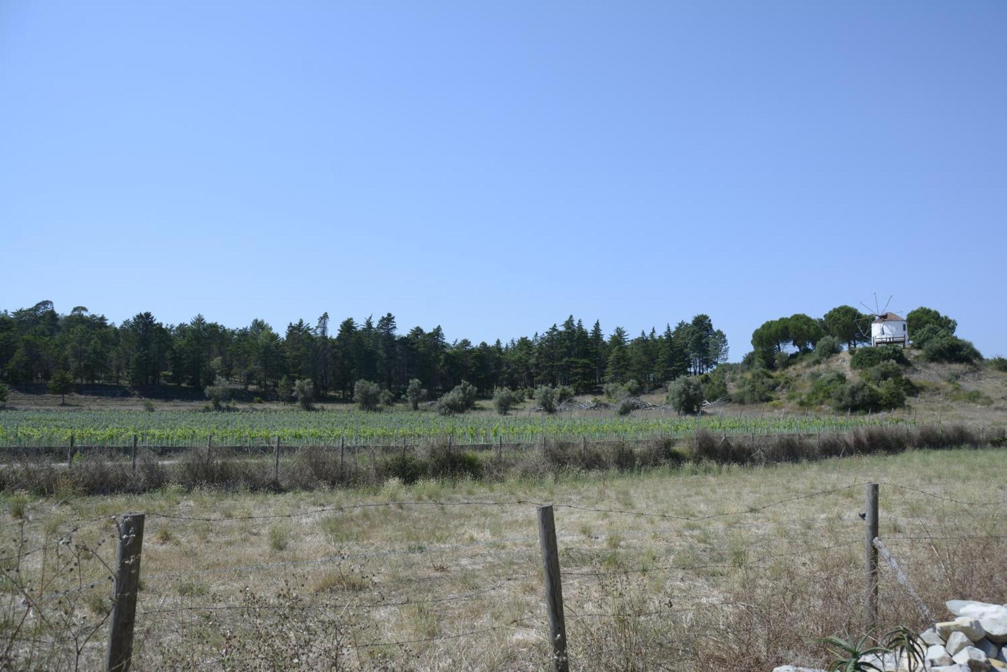 Casa Da Lima - Nestled In Nature On Santiago'S And Fatima'S Path, Close To Coimbra And Rabacal Alvorge 외부 사진