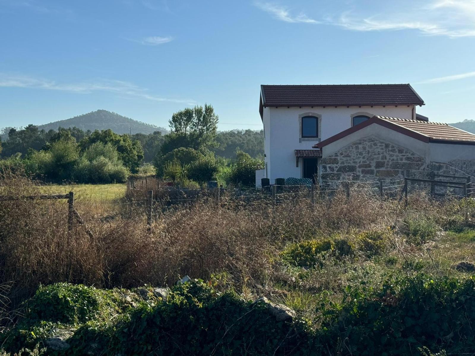 Casa Da Lima - Nestled In Nature On Santiago'S And Fatima'S Path, Close To Coimbra And Rabacal Alvorge 외부 사진