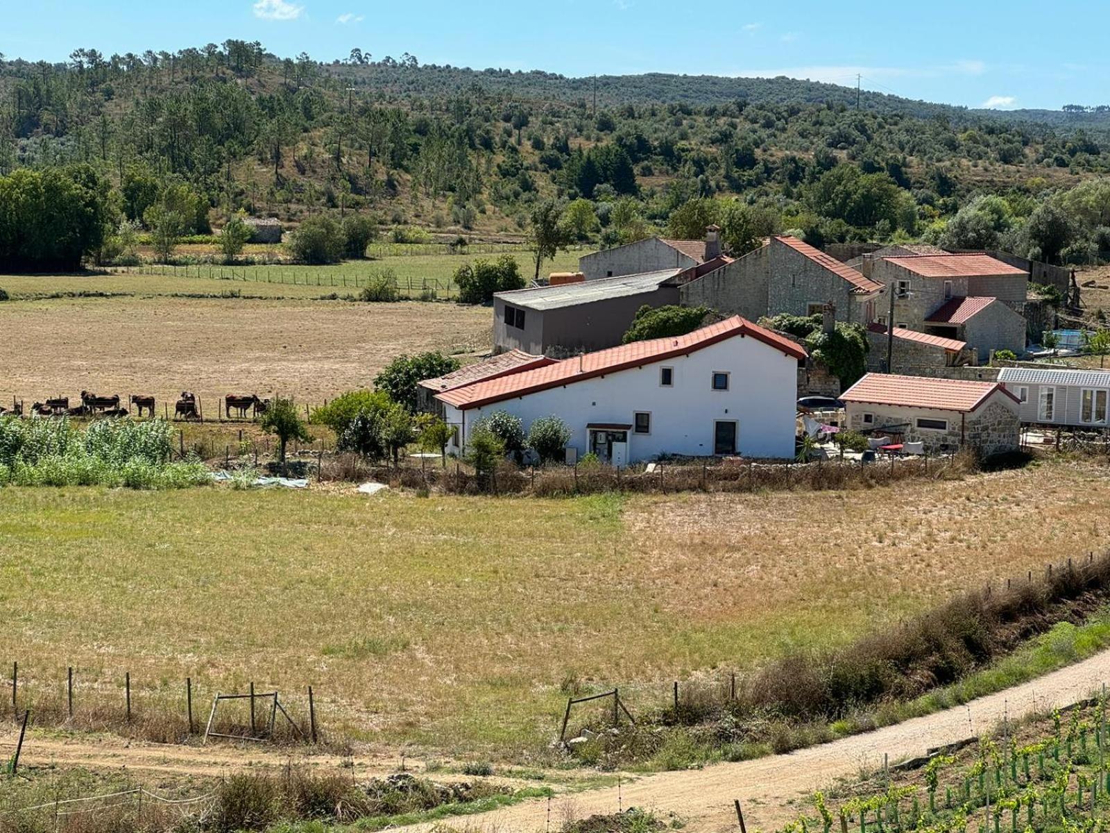 Casa Da Lima - Nestled In Nature On Santiago'S And Fatima'S Path, Close To Coimbra And Rabacal Alvorge 외부 사진