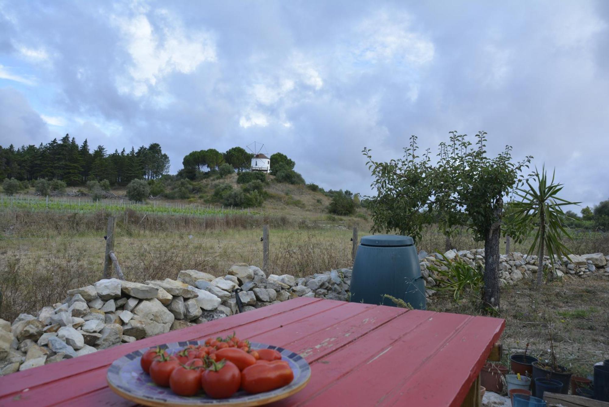 Casa Da Lima - Nestled In Nature On Santiago'S And Fatima'S Path, Close To Coimbra And Rabacal Alvorge 외부 사진