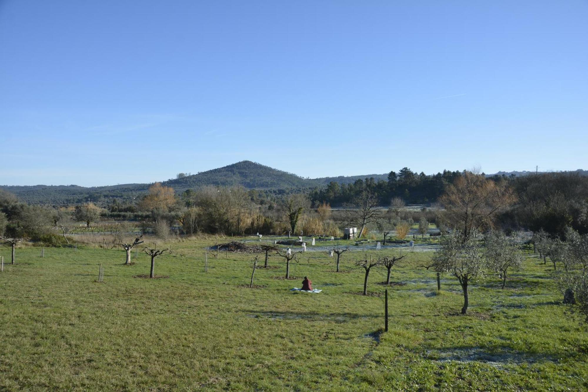 Casa Da Lima - Nestled In Nature On Santiago'S And Fatima'S Path, Close To Coimbra And Rabacal Alvorge 외부 사진
